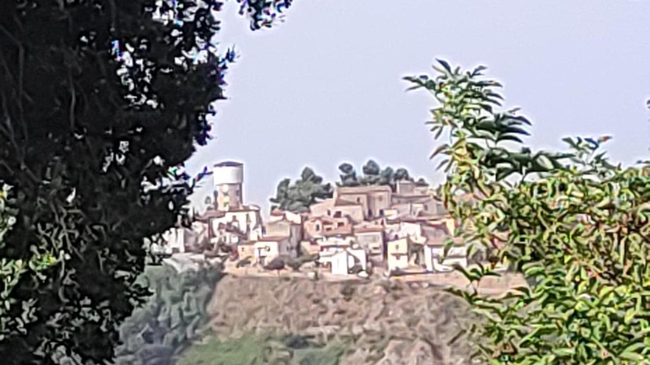 B&B I Tre Ulivi Morro d'Oro Exterior photo