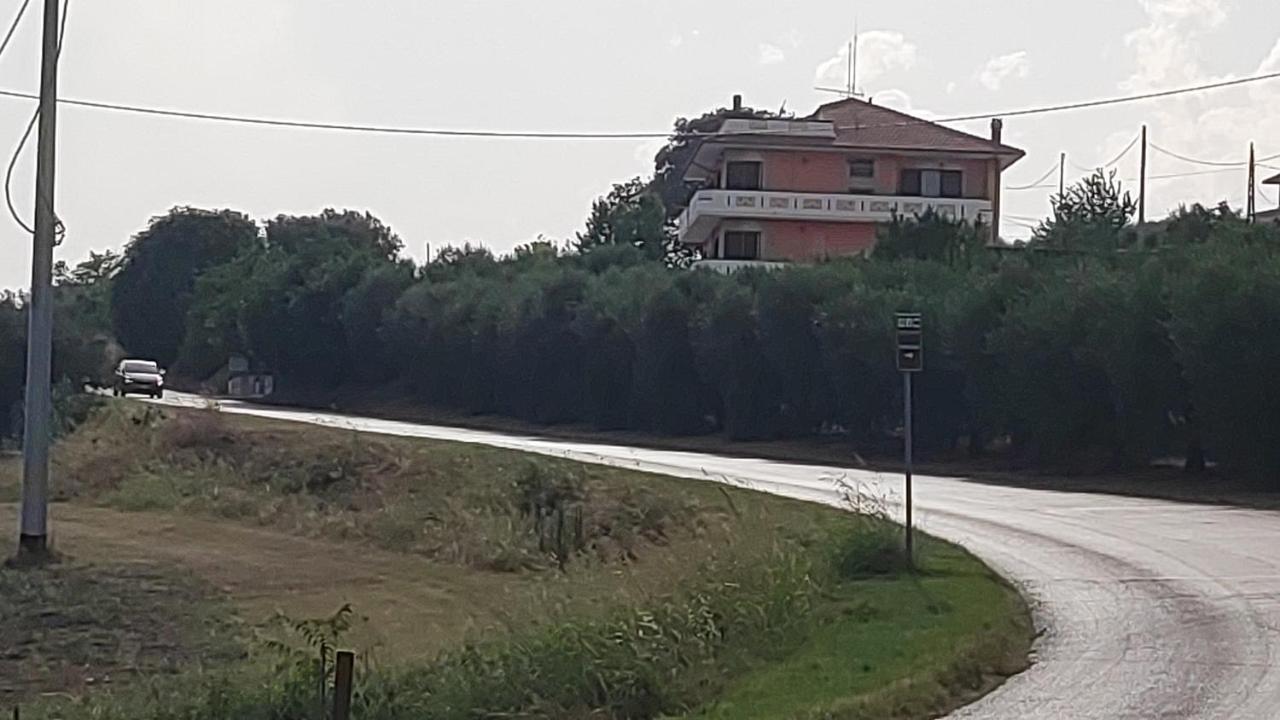 B&B I Tre Ulivi Morro d'Oro Exterior photo