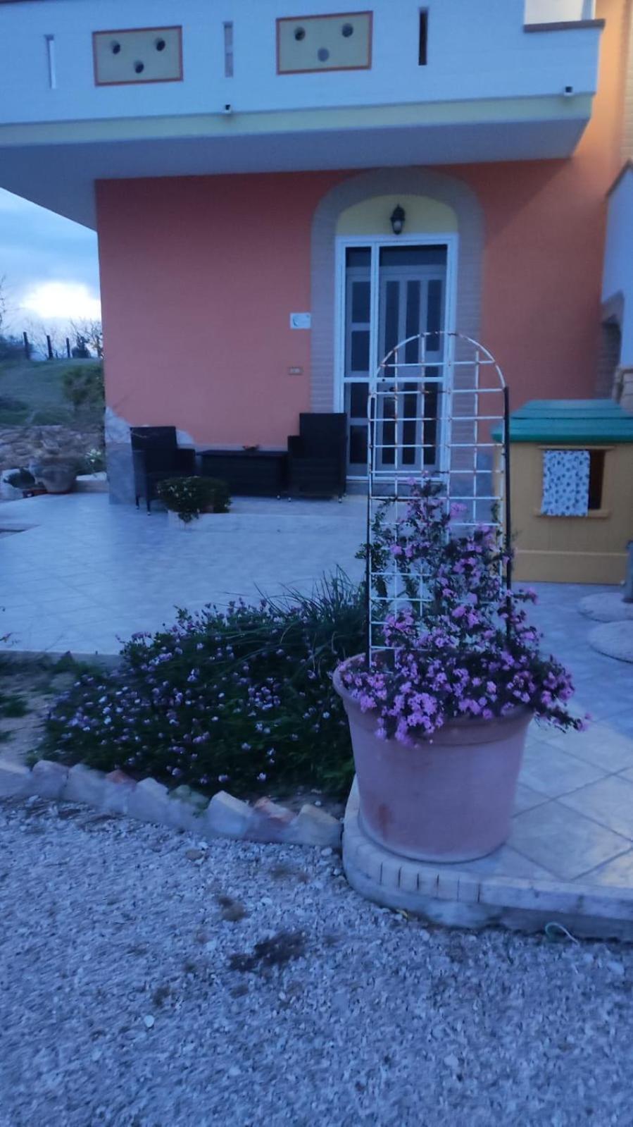 B&B I Tre Ulivi Morro d'Oro Exterior photo