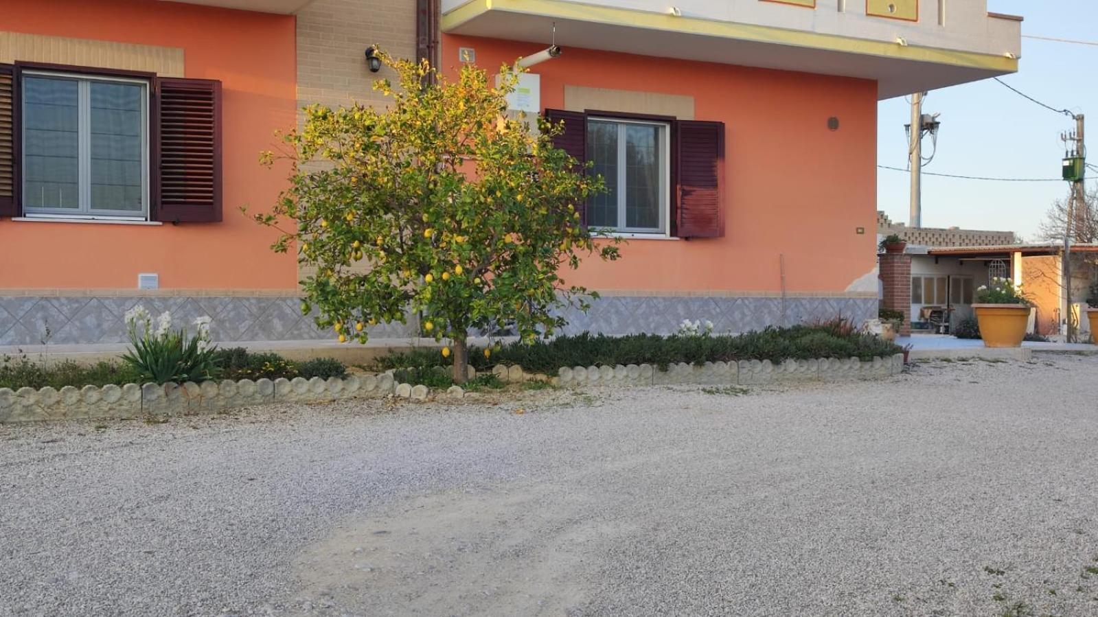B&B I Tre Ulivi Morro d'Oro Exterior photo